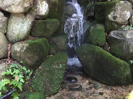 鳩ヶ嶺八幡宮