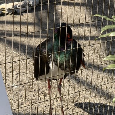 東京都多摩動物公園